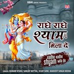 Radhe Radhe Shyaam Mila De - Sanjay Mittal Song Download